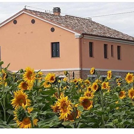 La Dolce Vita Porto Recanati Buitenkant foto