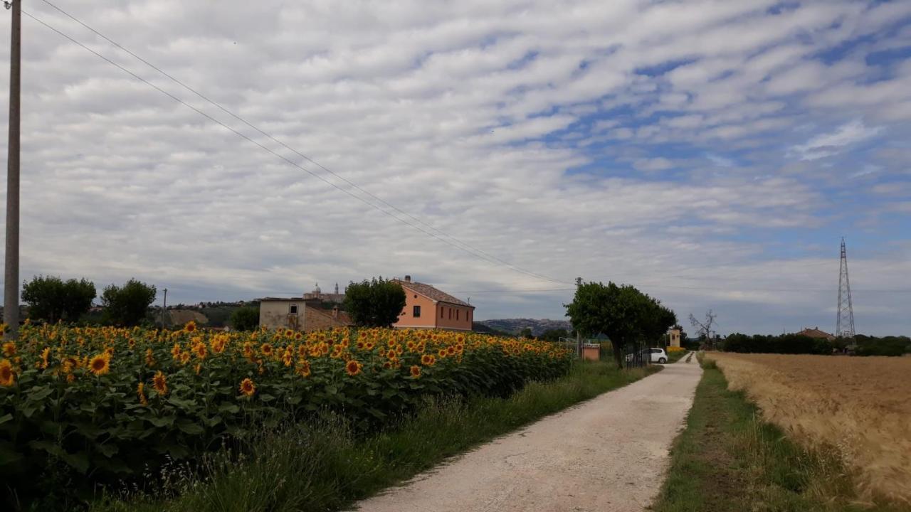La Dolce Vita Porto Recanati Buitenkant foto