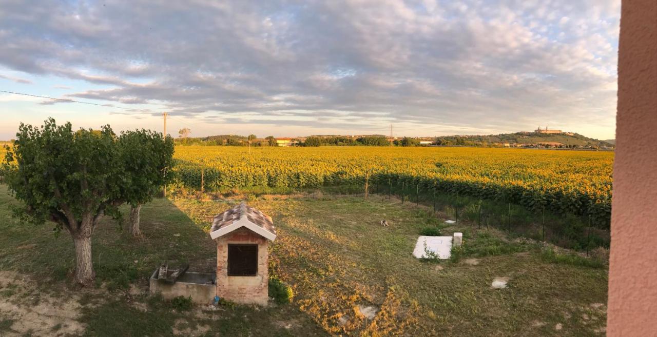La Dolce Vita Porto Recanati Buitenkant foto