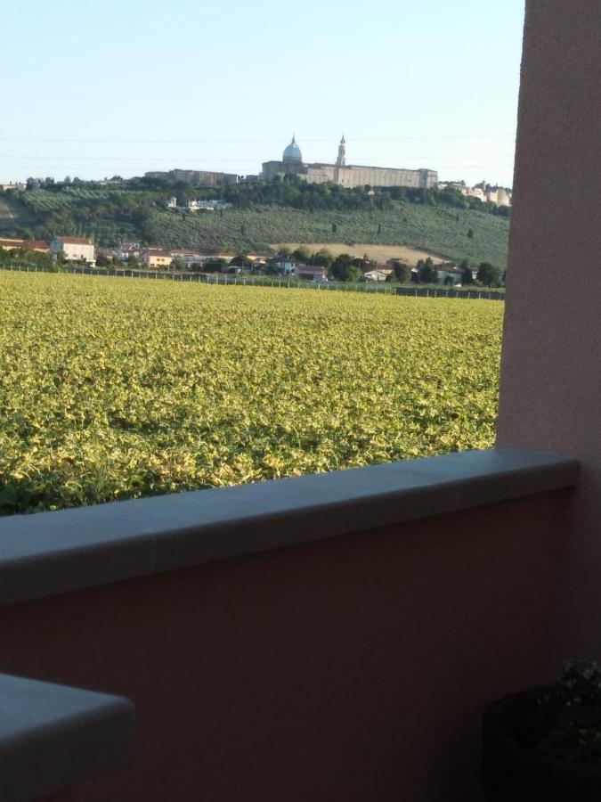 La Dolce Vita Porto Recanati Buitenkant foto