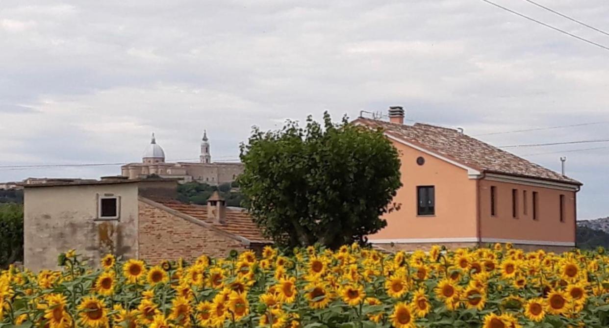 La Dolce Vita Porto Recanati Buitenkant foto